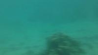 IMG 0409iph5