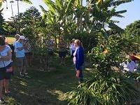 IMG 0411