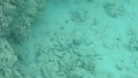 IMG 0411iph5