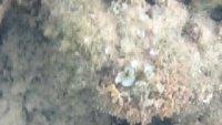 IMG 0412iph5