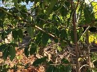IMG 0413