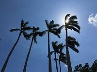 IMG 0428