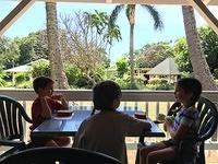 IMG 0435