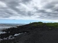 IMG 0464