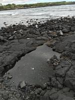 IMG 0468