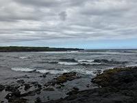 IMG 0476