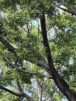 IMG 1763