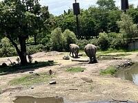 IMG 1802