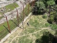 IMG 1834