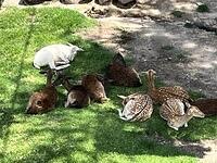 IMG 1837