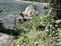 IMG 1906