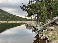 IMG 1911