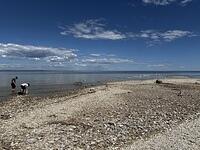 IMG 0710