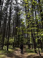 IMG 0798