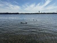 IMG 0802
