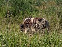 IMG 1413