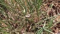 IMG 6757