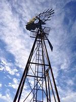 IMG 6771