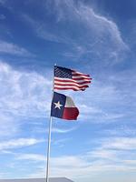 IMG 6785